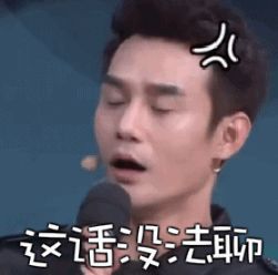 王凯表情包.gif